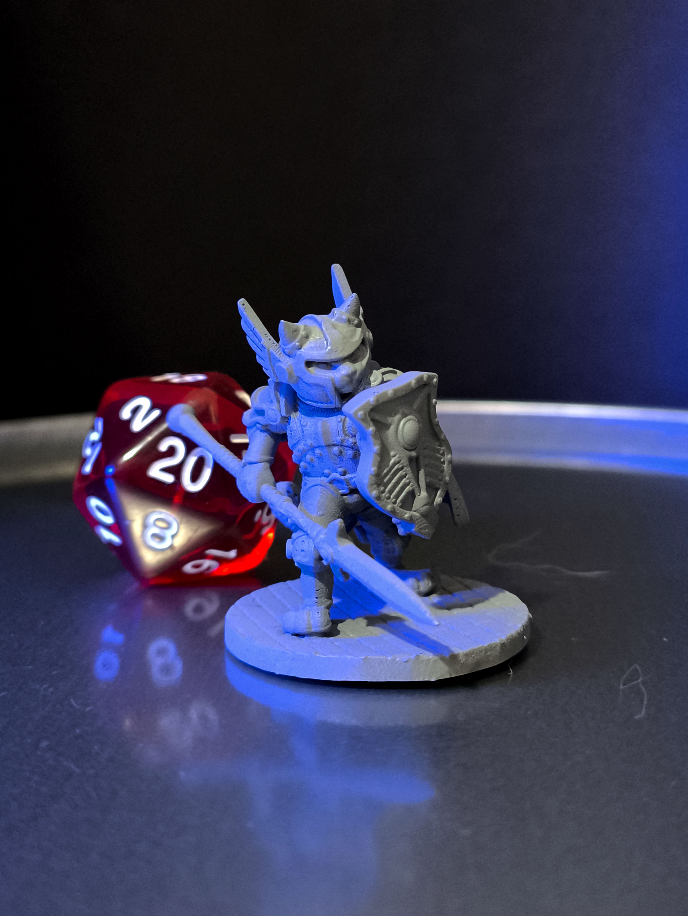 Gato Paladino