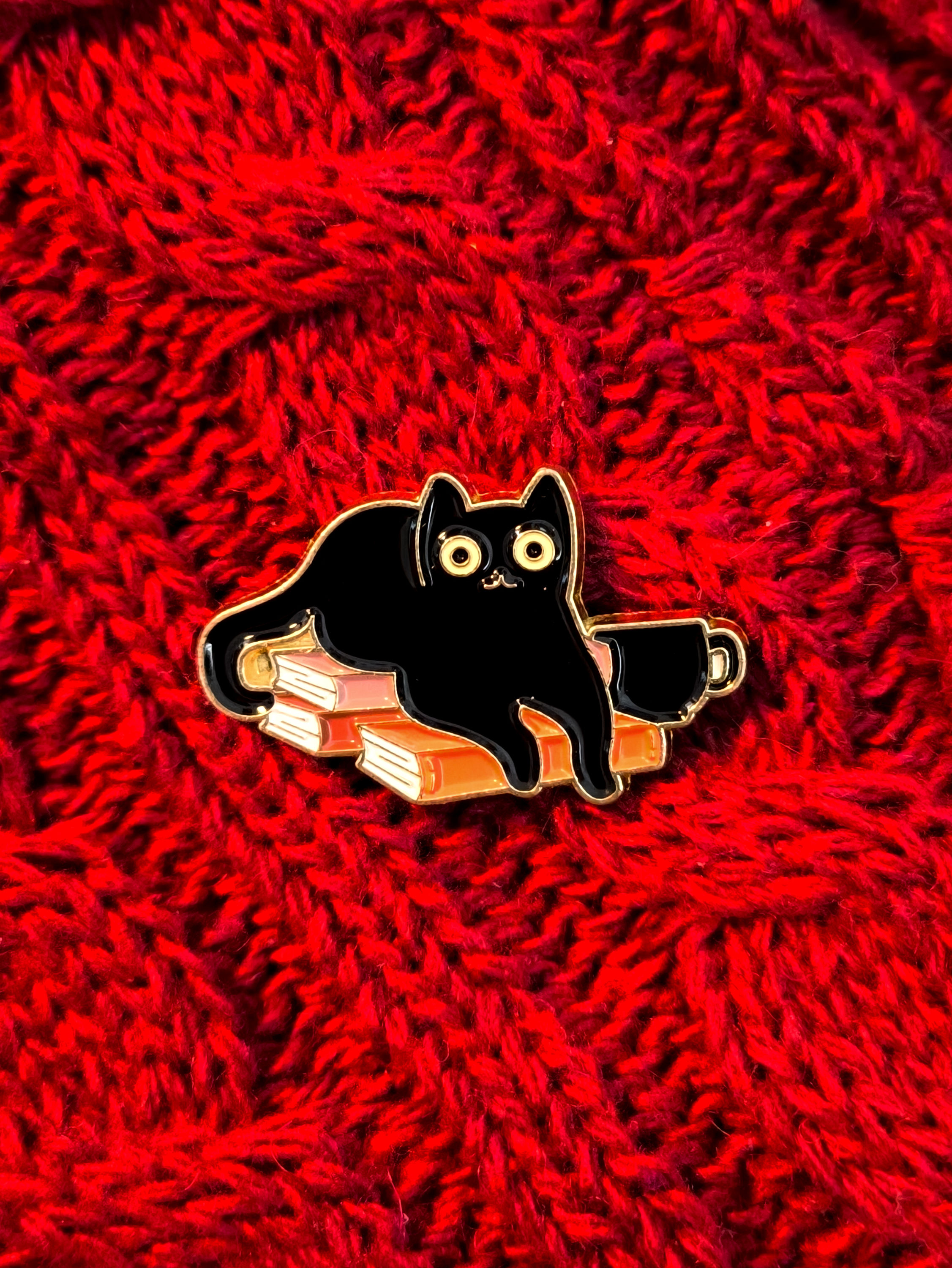 Pin Metálico Esmaltado - Enamel - Gatinho com Livros (B)