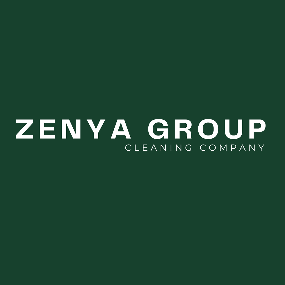 Zenya Group developerské projekty