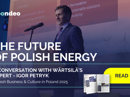Interview with Wärtsilä Energy’s Market Development Director