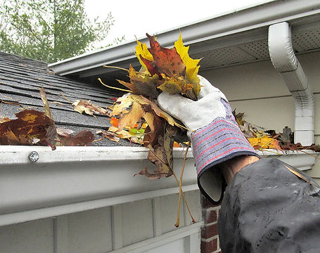 Gutter Cleaning