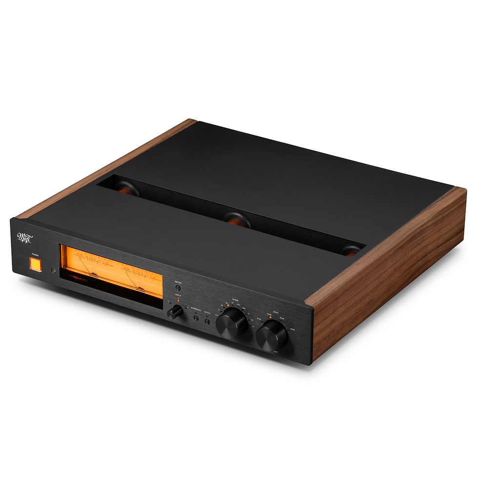 Thumbnail: Mobile Fidelity (MoFi) MasterPhono Phono Preamplifier