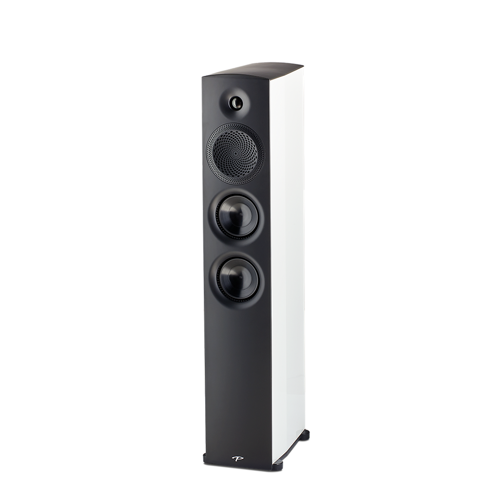 Thumbnail: Paradigm Premier 700F Floorstanding Speakers