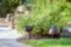 Thumbnail: Paradigm Garden Oasis Series 12" Inground Subwoofer