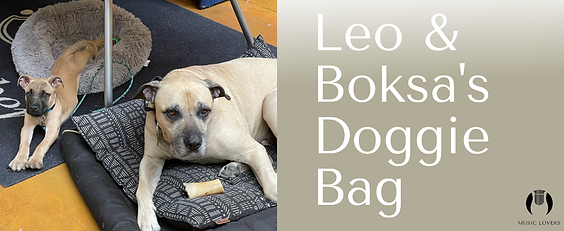 leo and boksa doggie bag banner.png