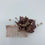 Miniature : Peigne HORTENSE