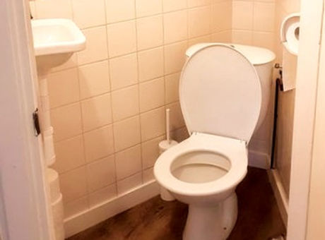 toilet_edited.jpg