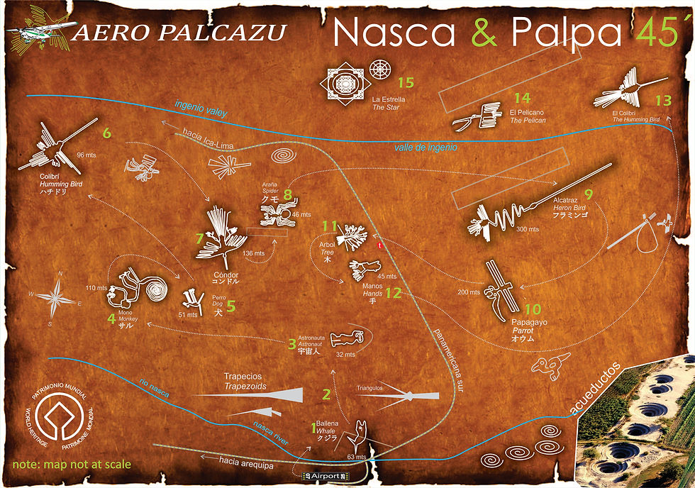 NASCA PREFERENCIAL