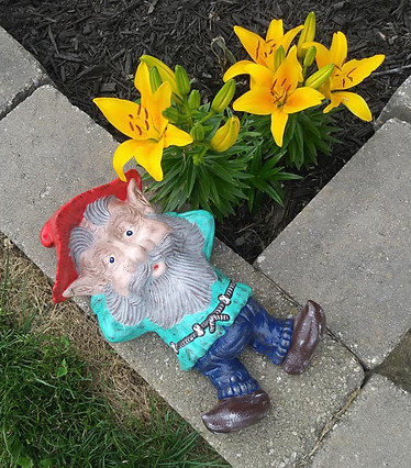 61435538_1268962233260811_35398809669798