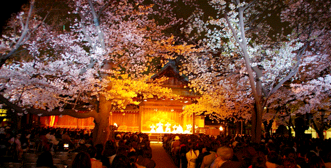 夜桜能 Com 東京都