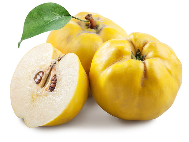 Quince fruit image.jpeg