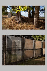 Planche 24.1w.jpg