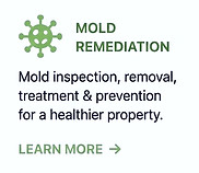 MOLD_edited.jpg