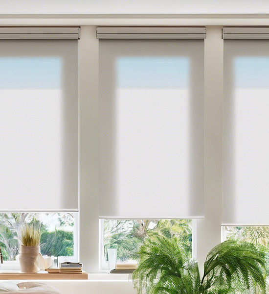photos with white roller blinds.jpg
