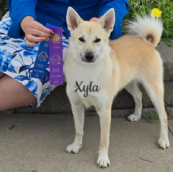 Xyla Winners Photo