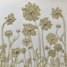 Chantilly Lace: Queen Anne's Lace