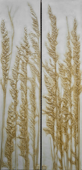 A Glimpse Through the Reeds: Asparagus Grass