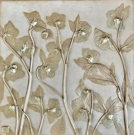 Butterfly Kisses: Helleborus