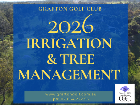 Why Now? 2026 Water & Tree Management Plan