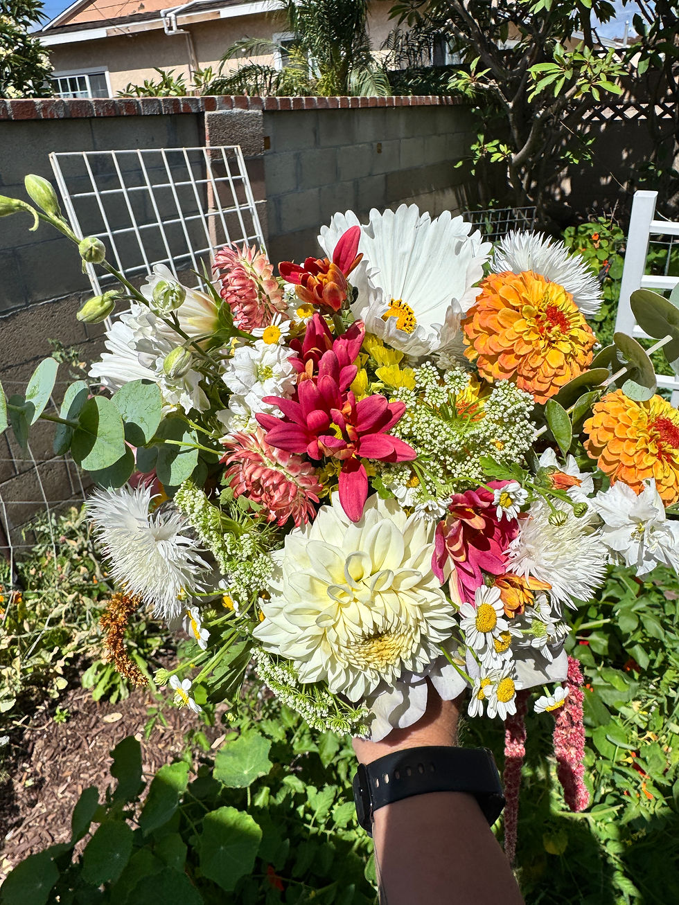 Thumbnail: Bouquet Subscription (Summer Dahlia CSA)