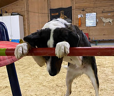 WhatsApp Image 2025-11-27 at 20.34.19(8).jpeg