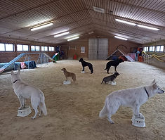 WhatsApp Image 2025-11-27 at 20.19.34(2).jpeg