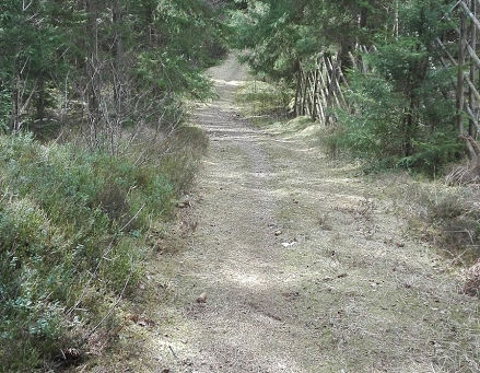 Karlssons sista slagsmål. Del 3