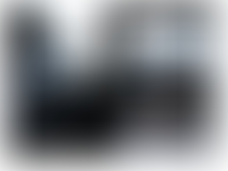 Hommage à Maître Moriyama