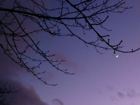 Le monde flottant : de l’errance au voyage