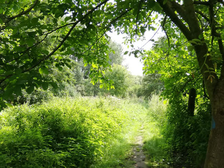 Ce que j'appelle "moi"