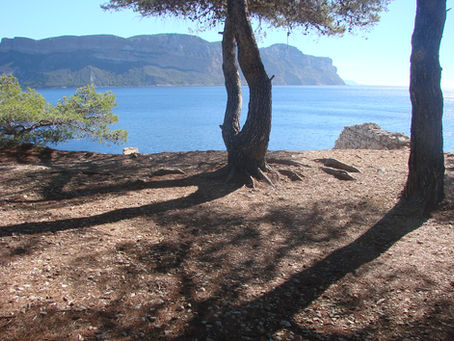 Un instant pour la beauté du monde