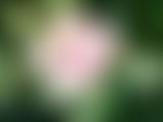 Une pratique qui nous transforme...sourire!