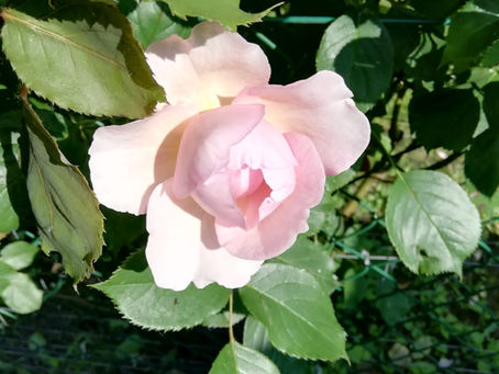 Une pratique qui nous transforme...sourire!