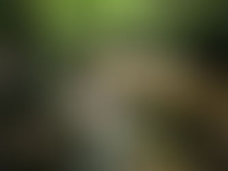 Soyez doux, soyez soft...