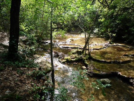 Soyez doux, soyez soft...