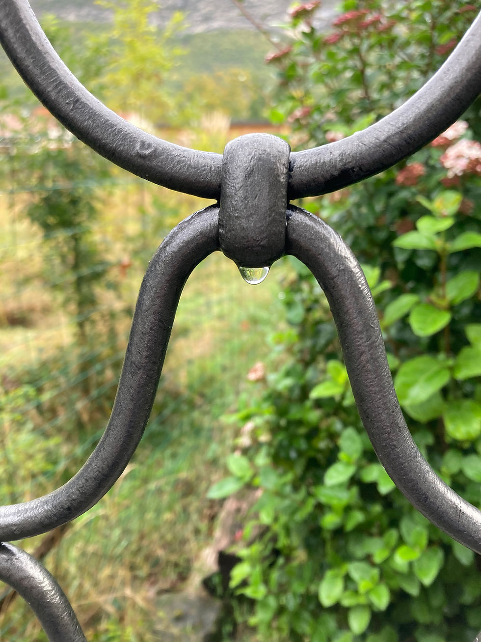  La colère et le désarmement intérieur