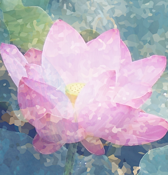 rose doré.png