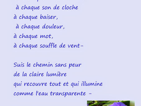 Laisse les haikus t'apprendre...Chiyo Ni