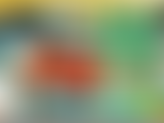 La présence du corps…