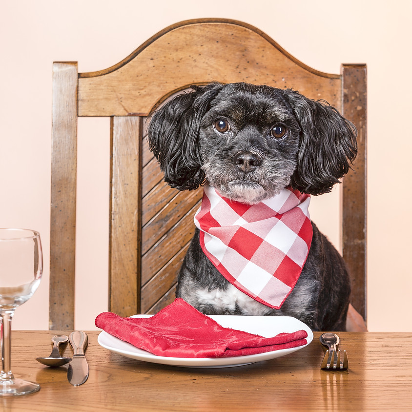 Dog Nutrition Seminar