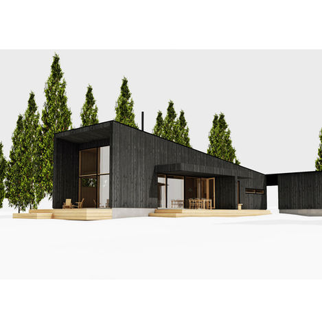 CABIN P.jpeg