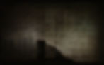Scrim and wall panels