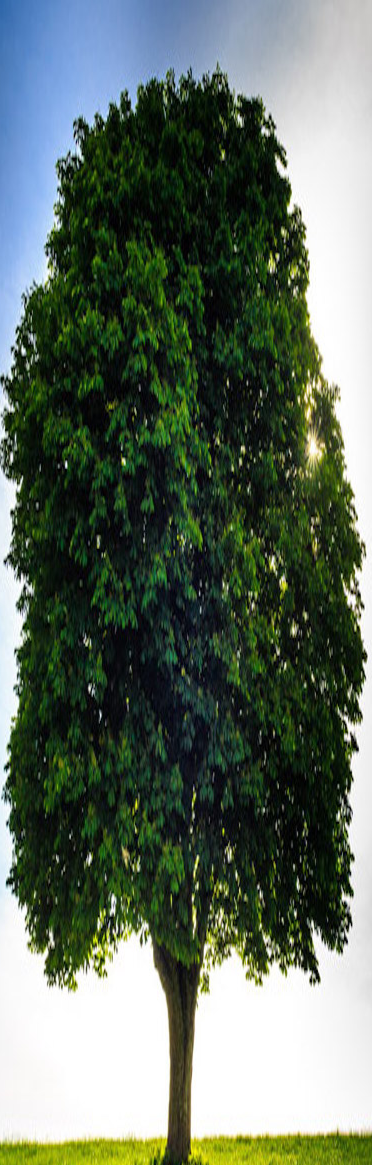 publicdomainq-0027637gpt_edited.png
