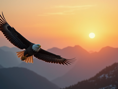 Soar Higher: How to Embrace the Eagles and Ditch the Turkeys in Your Career