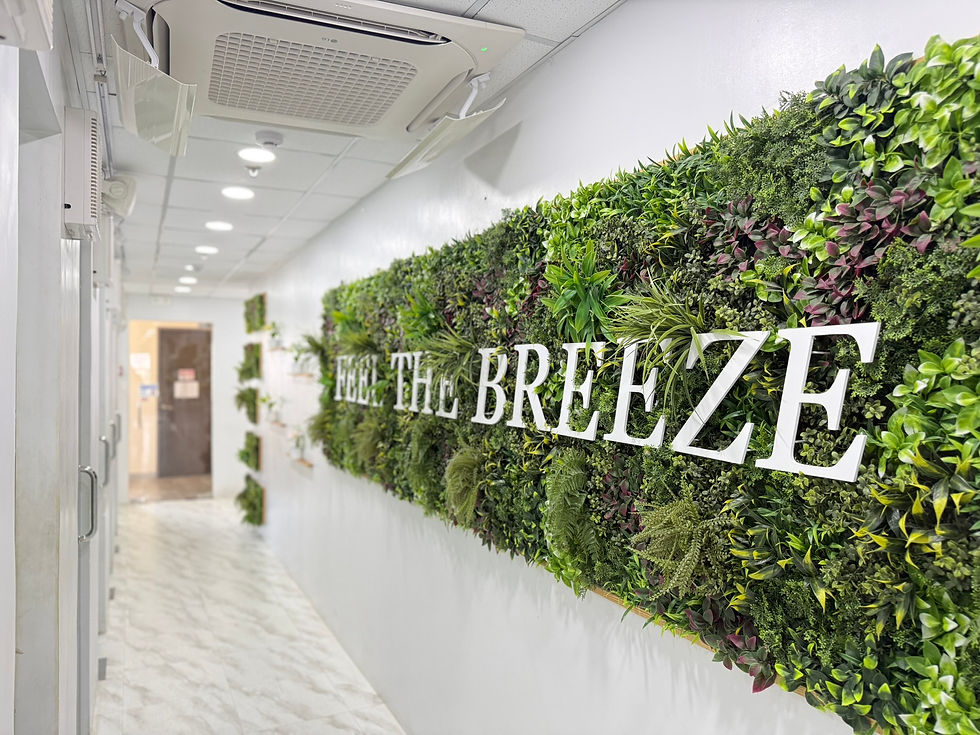 IBreeze prime Feel the breeze.JPEG