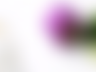 Bakuchiol e retinolo, differenze scientifiche e di efficacia