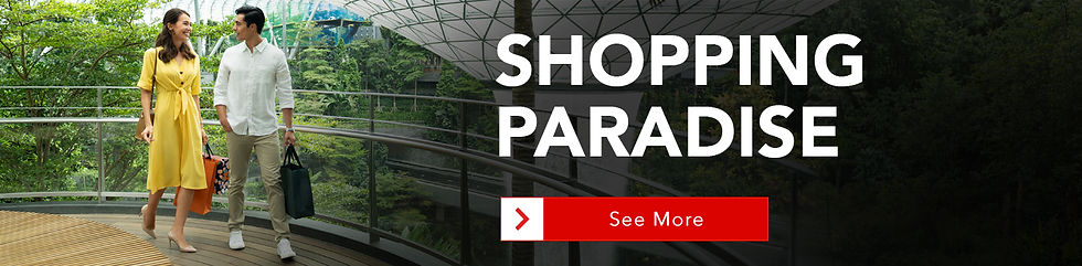 IMAGE-eMAPS-GUIDES-PAGE-SHOPPING-2026-2.jpg