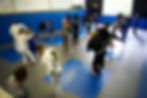 Brazilian Jiu-Jitsu (BJJ)