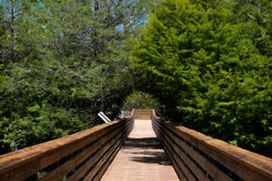 Nature Trail