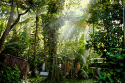 Jamaica